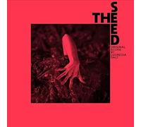 Lucrecia Dalt - The Seed (Original Score) [VINYL]