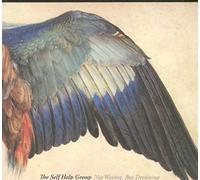 The Self Help Group - Not Waving, But Drowning