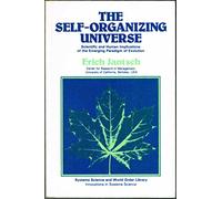 The Self-organizing Universe (SSWOL)
