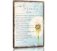 The Serenity Prayer Wall Art God Grant Me The Serenity Wall Decor Metal Sign Inspirational Quotes Christian Sign for Office Dandelion Wall Art for Living Room 12x8 inch