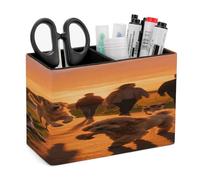 The Setting Sun Is Playing Freely. PU Leather Square Pens Pencils Holder,Multifunctional Remote Control Eyeglass Holder Pencil Case Office Accessories Container Box for Desk Double Compartments