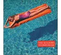 The Shadows - On A Night Like This