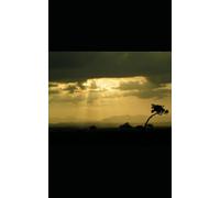 The Shadows That Follow Behind