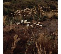 The Fundamental Nature Of Being, Part Two [VINYL]