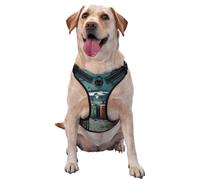 The Shark in The Background of The Old Kitchen Premium Dog Harness for Small, Medium, and Large Dogs - Durable, No Pull with Reflective Straps and Quick Release BucklesMedium