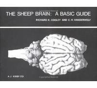 The Sheep Brain: A Basic Guide