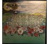 THE SHEEPDOGS - TRYING TO GROW
