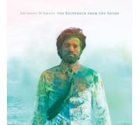 The Shipwreck from the Shore