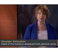 The Shoulder: Mobility versus Stability