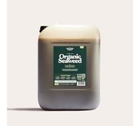 The Shropshire Seaweed Co. Cold-Pressed Organic Seaweed Fertiliser Concentrate - Thick, Nutrient-Dense Ascophyllum Nodosum Plant Food, Lawn & Root Feed, Certified Organic, 20L