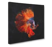 The Siamese Fighting Fish Canvas Print | Gallery Wrapped 30mm Frame Wall Art | 14x14 inches | Ready to Hang | Modern Animals Picture | Living Room Bedroom Lounge Office