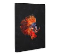 The Siamese Fighting Fish Canvas Print | Gallery Wrapped 30mm Frame Wall Art | 30x20 inches | Ready to Hang | Modern Animals Picture | Living Room Bedroom Lounge Office