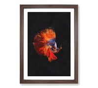 The Siamese Fighting Fish Painting Framed Print | A2 Walnut Framed Wall Art | Ready to Hang | Modern Animal Picture | Living Room Bedroom Lounge Office