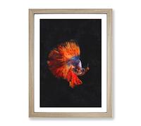 The Siamese Fighting Fish Painting Modern Framed Print | A3 Oak Framed Wall Art | Ready to Hang | Modern Animal Picture | Living Room Bedroom Lounge Office