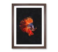 The Siamese Fighting Fish Painting Modern Framed Print | A4 Walnut Framed Wall Art | Ready to Hang | Modern Animal Picture | Living Room Bedroom Lounge Office