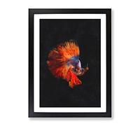 The Siamese Fighting Fish Painting Modern Framed Wall Art Print, Ready to Hang Picture for Living Room Bedroom Home Office Décor, Black A4 (34 x 25 cm)