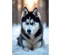 The Siberian Husky Notebook: A Premium Dotted Journal | The Noble Breed Collection: 6x9 Dotted Grid Journal (160 pages) by Ronan Ashworth | Matte ... | Perfect Gift for Dog Lovers & Creatives