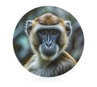 The Silent Monkey Tempered Glass Cutting Board Round Chopping Board with Anti-Slip Feet Scratch Resistant Chopping Block for Kitchen Countertop Easy to Clean 7.9"X 7.9"