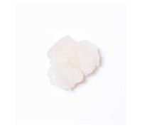 The Silkie Camellia Claw Clip Lune