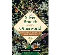 The Silver Branch and the Otherworld