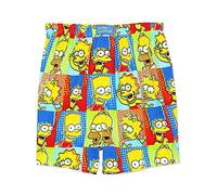The Simpsons Family Men's Briefly Stated Boxer Shorts Underwear (Medium, Multi)