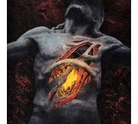 THE SIN OF HUMAN FRAILTY (ザ・シン・オブ・ヒューマン・フレイルティ)