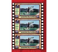 the singing buckaroo