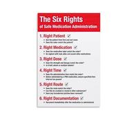 The Six Rights of Safe Medication Administration Canvas Wall Art Posters: Aesthetic Prints for Bedroom, Dorm Room Decor 24x36inch(60x90cm)