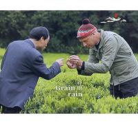 The Sixth Solar Term - Grain Rain