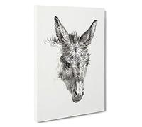 The Sketch of a Donkey by Jean Bernard Canvas Print | Gallery Wrapped 30mm Frame Wall Art | 30x20 inches | Ready to Hang | Modern Animal Picture | Living Room Bedroom Lounge Office