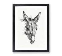 The Sketch Of A Donkey By Jean Bernard Vintage Framed Print | A2 Black Framed Wall Art | Ready to Hang | Classic Animal Picture | Living Room Bedroom Lounge Office