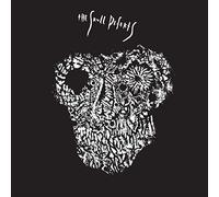 THE (FEAT. DANIEL HIGGS & ZOMES) SKULL DEFECTS - 2013-3012 VINYL EP NEW