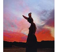 The Sky Is Bleeding [VINYL]