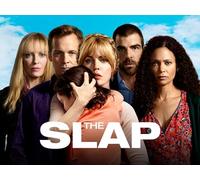 The Slap, Season 1