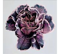 The Slow Show - STILL LIFE [VINYL]