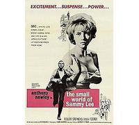 The Small World Of Sammy Lee [2016] (DVD)