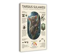 The Smallest Nocturnal Primate Knowledge Canvas Poster Bedroom Decor Landscape Office Room Decor Gift 20x30inch(50x75cm)