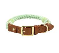 The Smug Dog Boston Rope Braided Collar for Dogs - Stylish Large Mint Green with D-Ring, Leather Finish & Golden Buckle -Soft Dog Collar for Small, Medium and large Dogs for Training,Walking