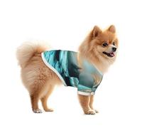 The Snow Capped Mountains at Sunrise Mesh Dog Shirt - Lightweight & Breathable, Quick Dry Stretchy Pet T-Shirt Vest for Small Dogs