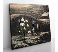 The Snowdrop Flowers by Robert John Thornton Vintage Canvas Wall Art Print Ready to Hang, Framed Picture for Living Room Bedroom Home Office Décor, 50x50 cm (20x20 Inch)