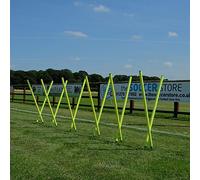 The Soccer Store Set of 12 Mini Boundary Poles with Carry Bag. Mini Slalom Poles 95cm Tall.