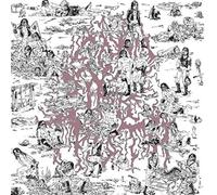The Soft Pink Truth - Why Do The Heathen Rage? [VINYL]