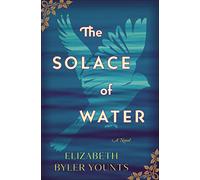 The Solace of Water: A moving, standalone historical novel about forgiveness and unexpected friendship: 2 (Chronicles of Brothers, Time Before Time)