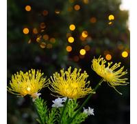 The Solar Centre Florin Solar Flower Light - Yellow