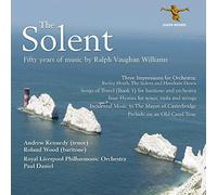 The Solent by Roland Wood