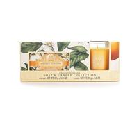 The Somerset Toiletry Company Soap and Candle Gift Set