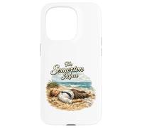 The Somerton Man Unsolved Beach Mystery Case for iPhone 15 Pro