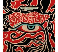 The Soul Surfers - The Soul Surfers Present: Igor & Romeo's Sound Excitement