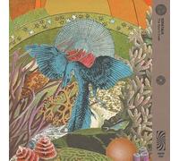 The Soul's Code [VINYL]