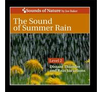 The Sound of Summer Rain by Joe Baker